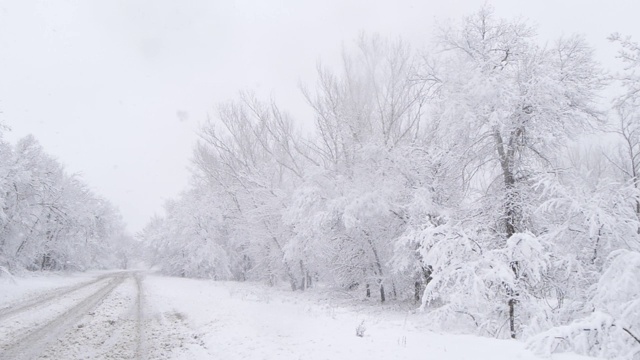 冬天森林里的慢镜头降雪视频素材