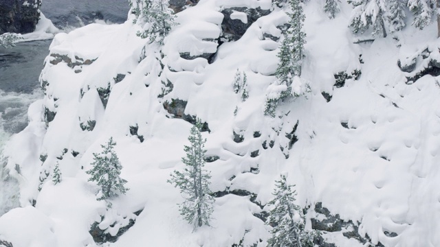 在白雪皑皑的山坡上奔跑的水獭视频素材