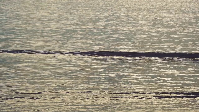 阳光反射海浪涟漪的海面满帧近视频素材