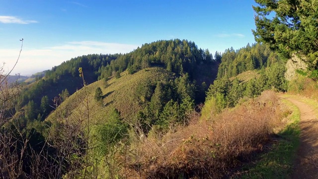 沿着Purisima Creek红杉保护区的峡谷边缘的徒步旅行路线，圣克鲁斯山脉，加利福尼亚州视频下载