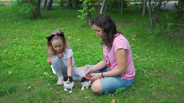 小女孩和妈妈在户外和小猫玩视频素材