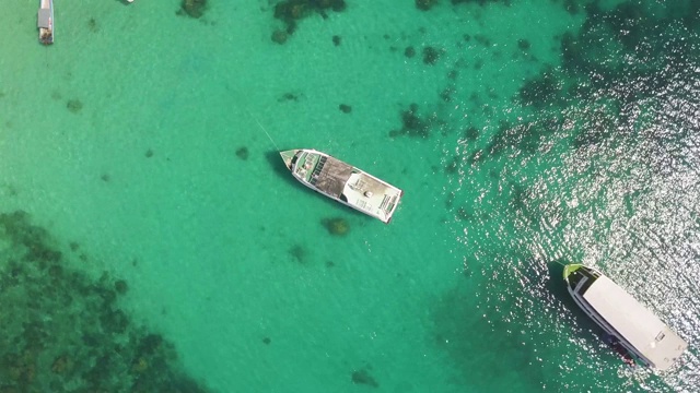 在夏季的绿色泻湖上拍摄的电影空中盘旋镜头视频素材