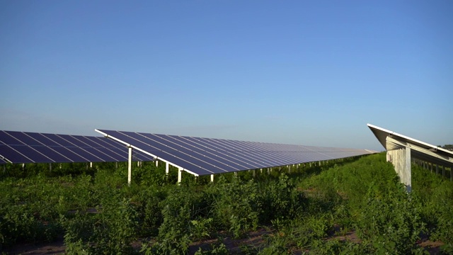 太阳太阳能板电力地球的可持续性。绿色能源为家。太阳能电池发电厂业务。生态清洁能源。地面上的蓝色面板。视频素材