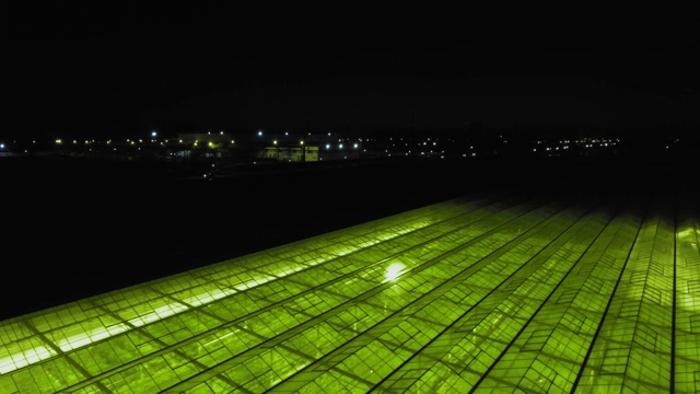 高空飞过一个挂满黄瓜的大温室视频素材