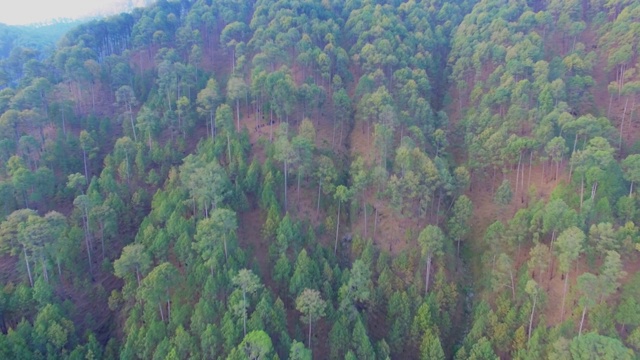 喜马拉雅登山客视频素材