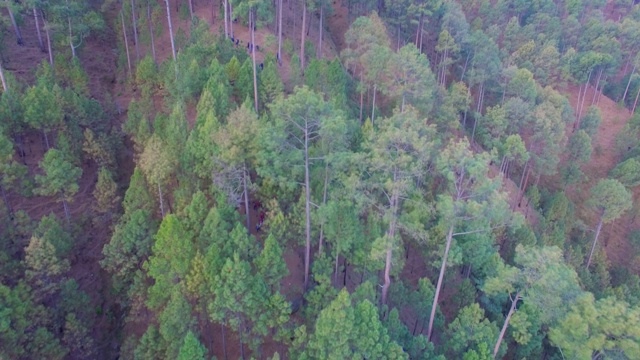 喜马拉雅登山客视频素材