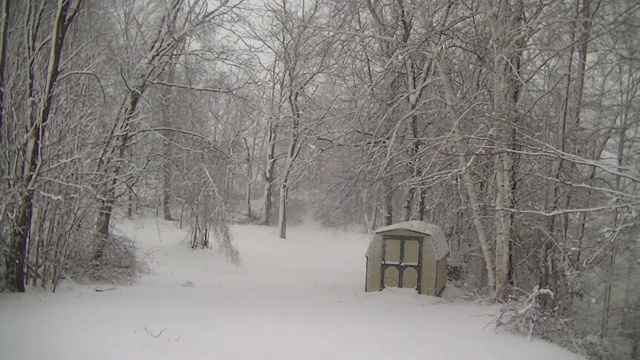 后院有风的暴风雪视频素材