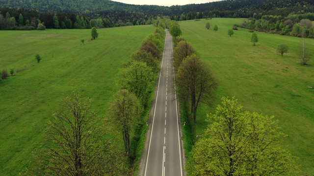 鸟瞰图的乡村道路与山树木和草地在夏天。视频素材