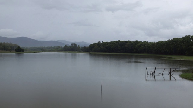 在雨季的水库景观和鸟类的飞过视频素材