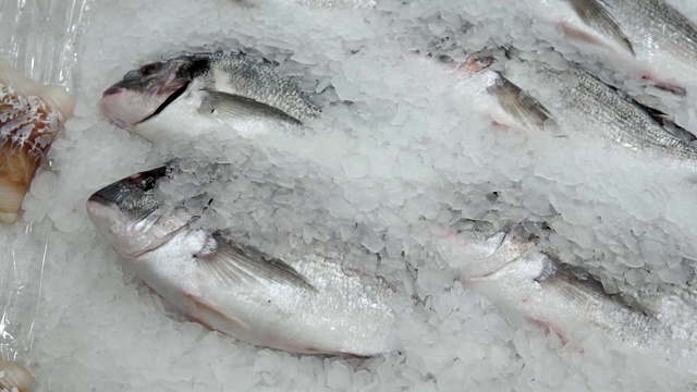 鱼大超市柜台上的冰镇剑鱼，出售新鲜的冷冻产品视频素材