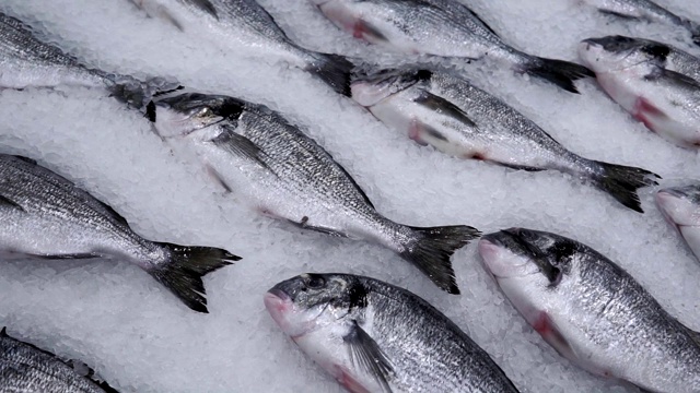鲜鱼鱼在一个鱼大市场的柜台上，出售新鲜的冷冻产品视频素材