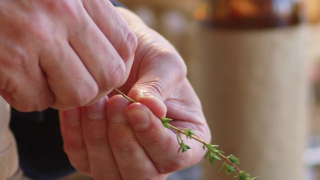 男子的手从新鲜百里香茎叶视频素材