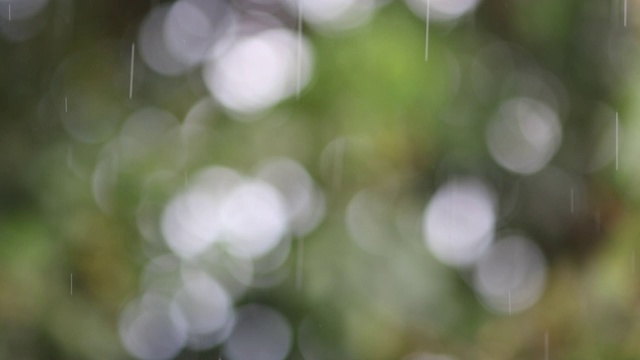 雨滴飘落，背景模糊视频素材