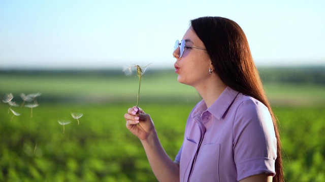 一个美丽的年轻女子的肖像，吹在大蒲公英在阳光灿烂的日子视频素材