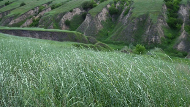 绿草如茵，映衬着高山视频素材