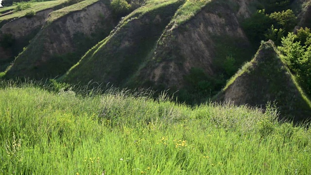 绿草如茵，映衬着高山视频素材