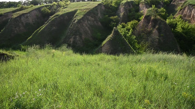 绿草如茵，映衬着高山视频素材