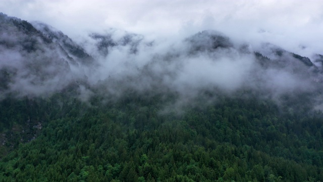 降雨后hyperlapse视频下载