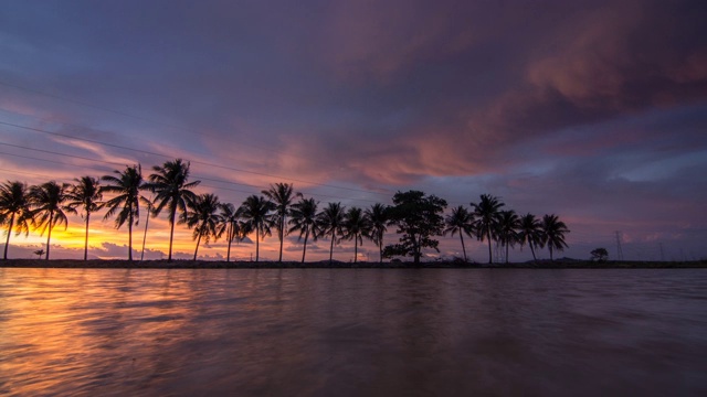 时光流逝，夕阳映照在武吉梅塔贾姆的椰子树视频素材