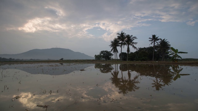 时光流逝了一卷椰子树和一座小山。视频素材