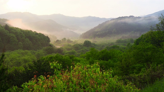 韩国江原道的Inje Secret Garden / Inje-gun视频素材