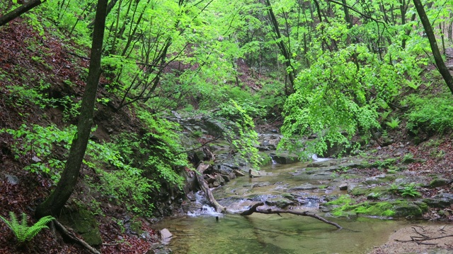 山谷风景/洪川枪，江原道，韩国视频素材