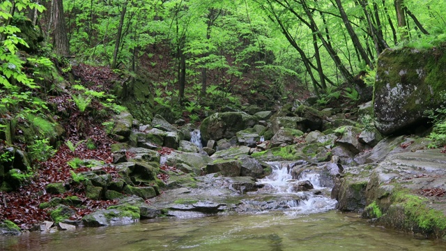 山谷风景/洪川枪，江原道，韩国视频素材