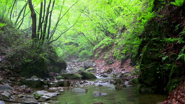 山谷风景/洪川枪，江原道，韩国视频素材