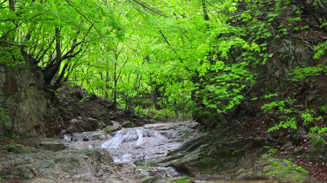 山谷风景/洪川枪，江原道，韩国视频素材