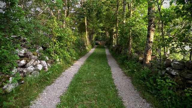 在Öland的夏天走在一条狭窄的森林道路上视频素材