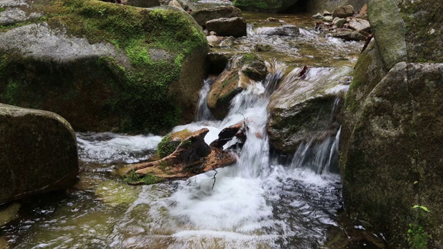 水流经山谷/洪川郡，江原道，韩国视频素材