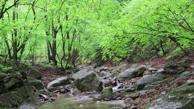 山谷风景/洪川枪，江原道，韩国视频素材