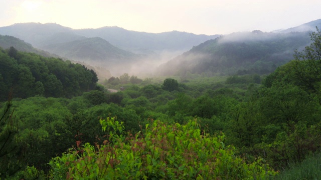 韩国江原道的Inje Secret Garden / Inje-gun视频素材