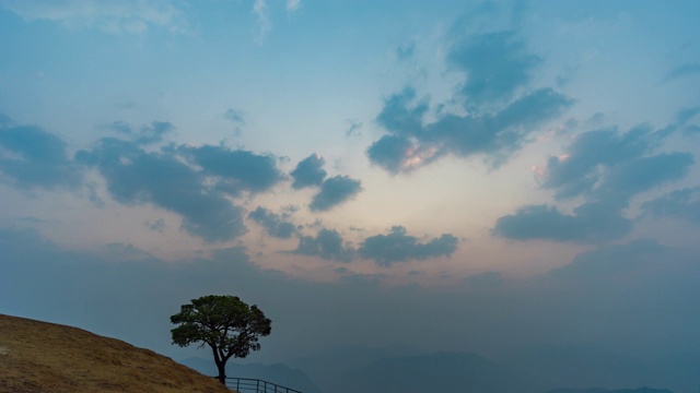 孤独的树与戏剧性的天空在山在日出，时间流逝视频视频素材