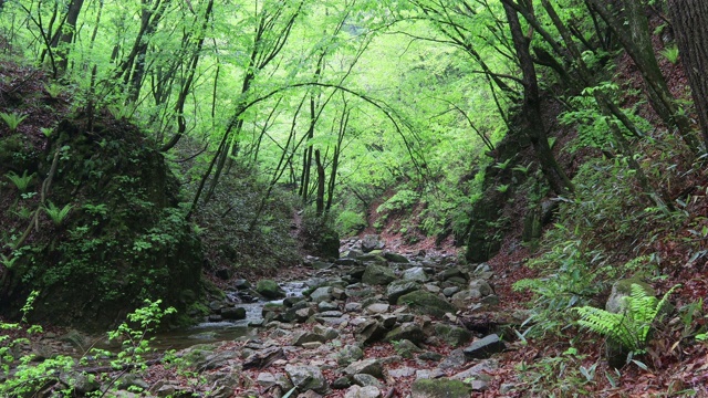 山谷风景/洪川枪，江原道，韩国视频素材