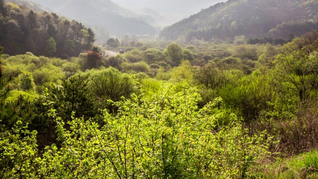 韩国江原道的Inje Secret Garden / Inje-gun视频素材