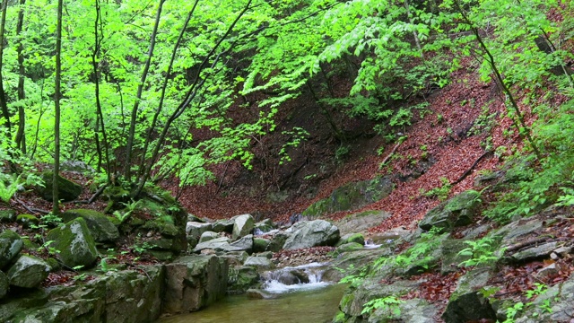 山谷风景/洪川枪，江原道，韩国视频素材