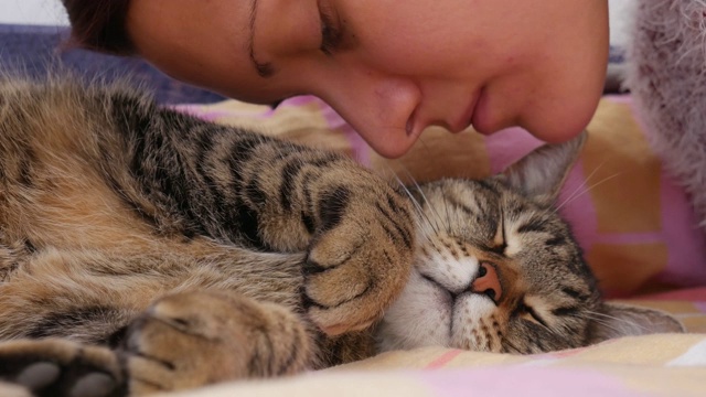 女主人亲吻一只睡在床上的条纹猫视频素材