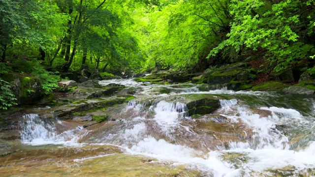 韩国江原道的Inje-gun山谷中的水流视频素材