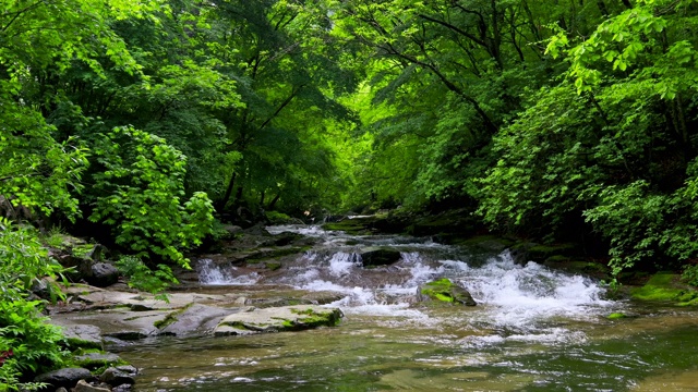 韩国江原道的Inje-gun山谷中的水流视频素材