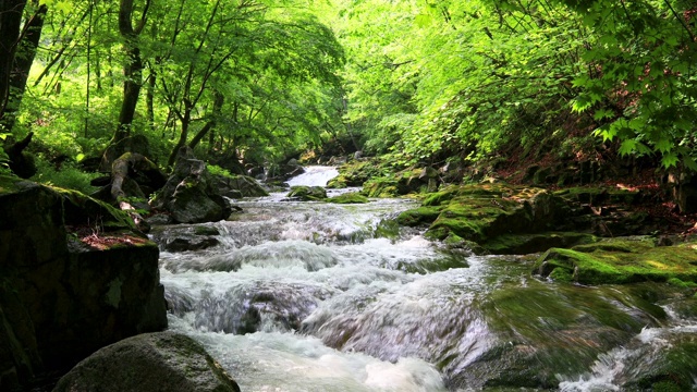 韩国江原道的Inje-gun山谷中的水流视频素材