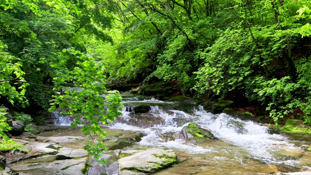 韩国江原道的Inje-gun山谷中的水流视频素材