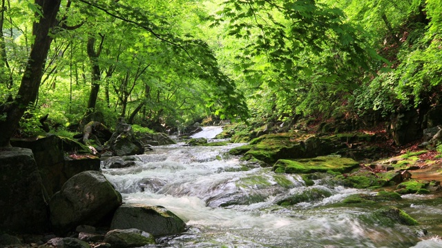 韩国江原道的Inje-gun山谷中的水流视频素材