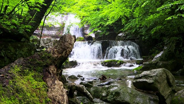 韩国江原道的Inje-gun山谷中的水流视频素材