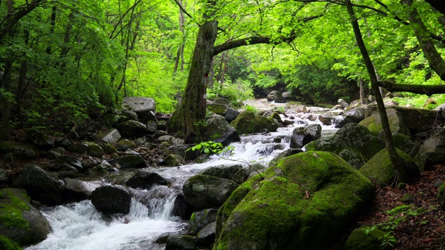 韩国江原道的Inje-gun山谷中的水流视频素材