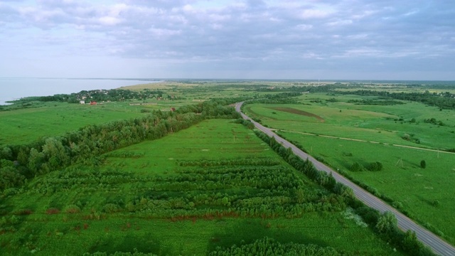 道路，远处的小房子和无尽的绿色田野，稀疏的低矮的树木和灌木视频素材