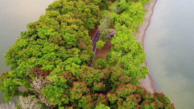 无人机视角的道路通过森林建立旅行拍摄旅程视频素材