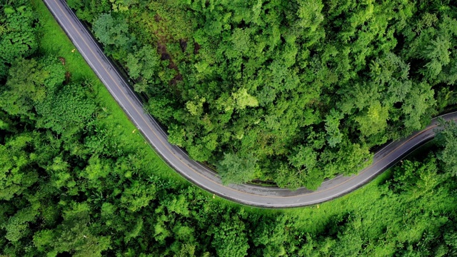 无人机视角的道路通过森林建立旅行拍摄旅程视频素材