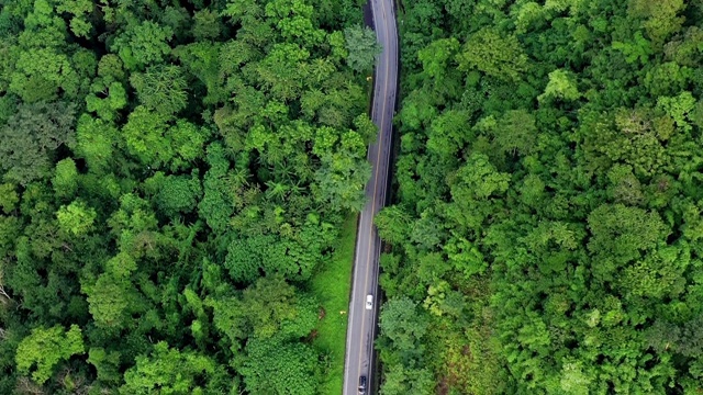 无人机视角的道路通过森林建立旅行拍摄旅程视频素材