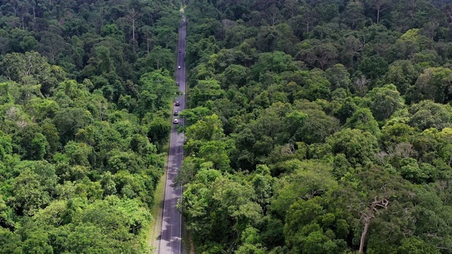 无人机视角的道路通过森林建立旅行拍摄旅程视频素材